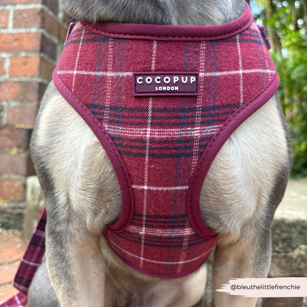 Cocopup Mulberry Plaid Adjustable Neck Harness