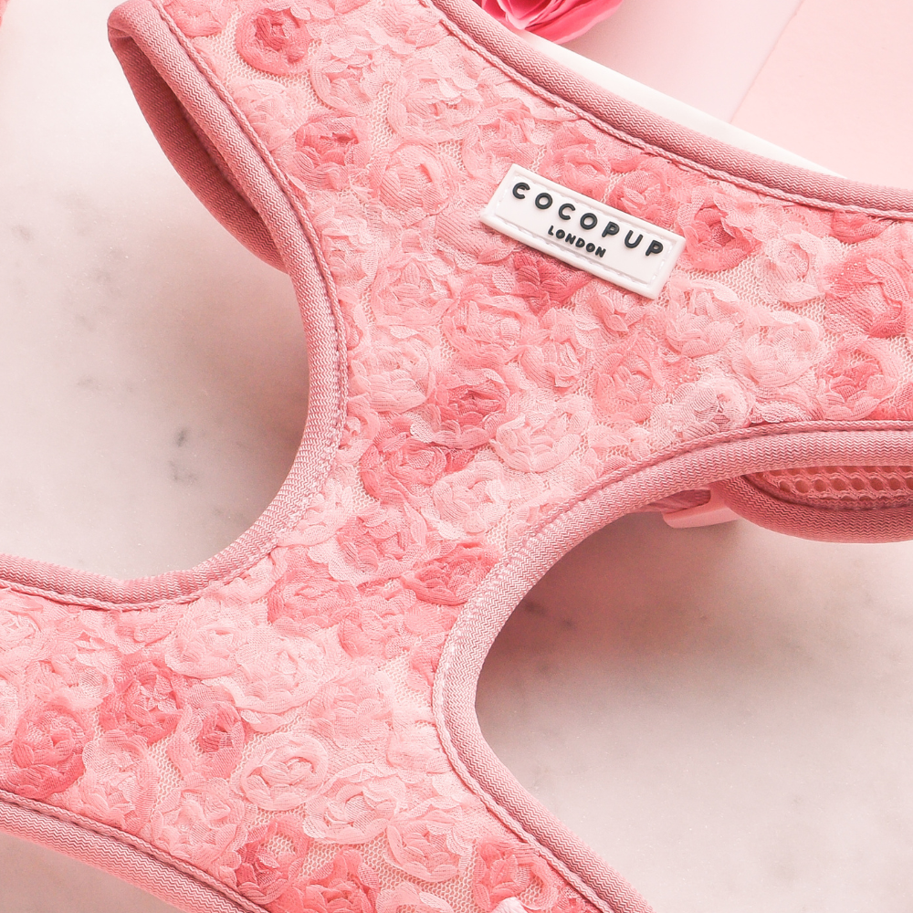 Cocopup Peony Pup Adjustable Neck Harness