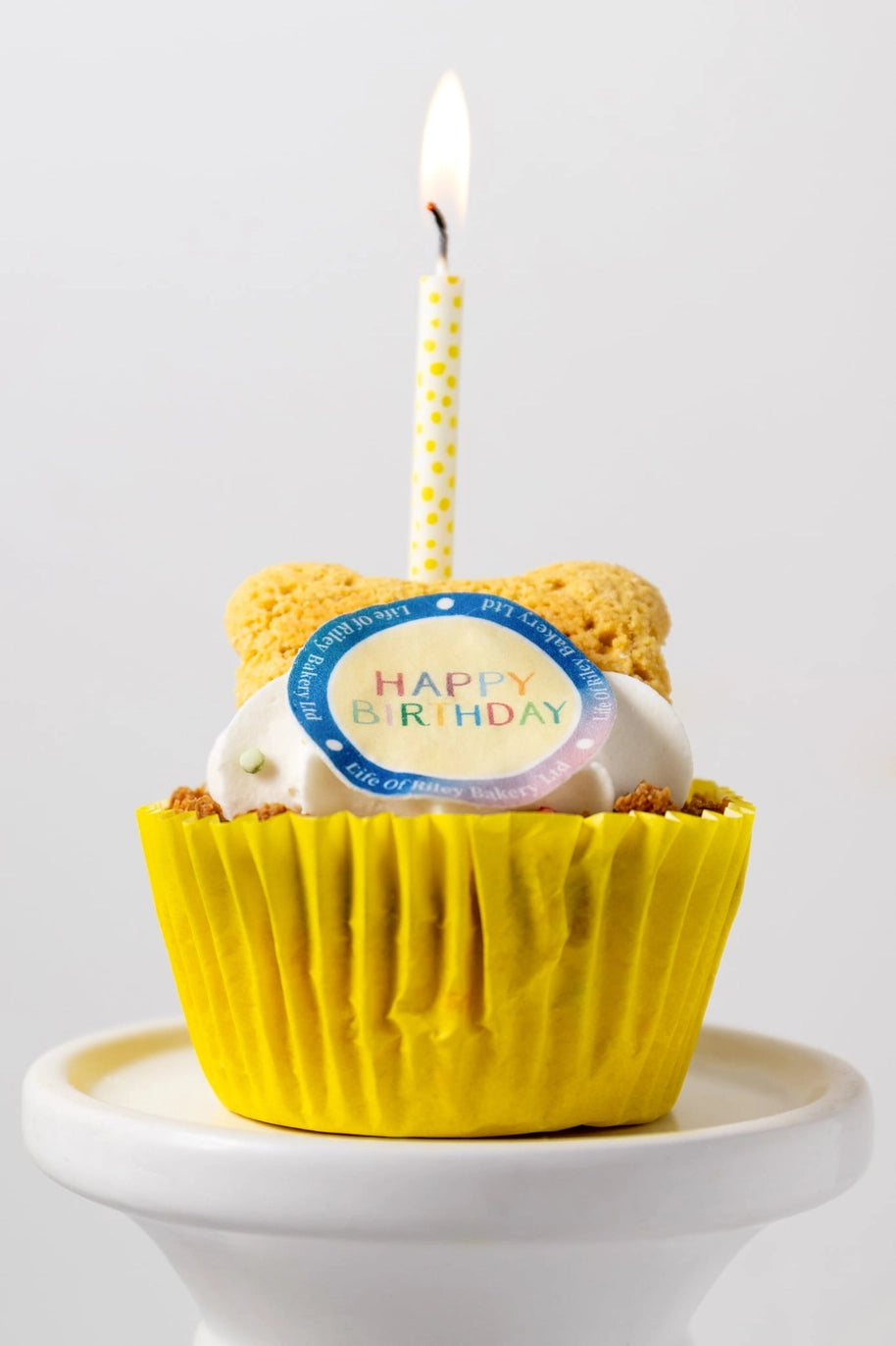 Life Of Riley Dog Birthday Cupcake