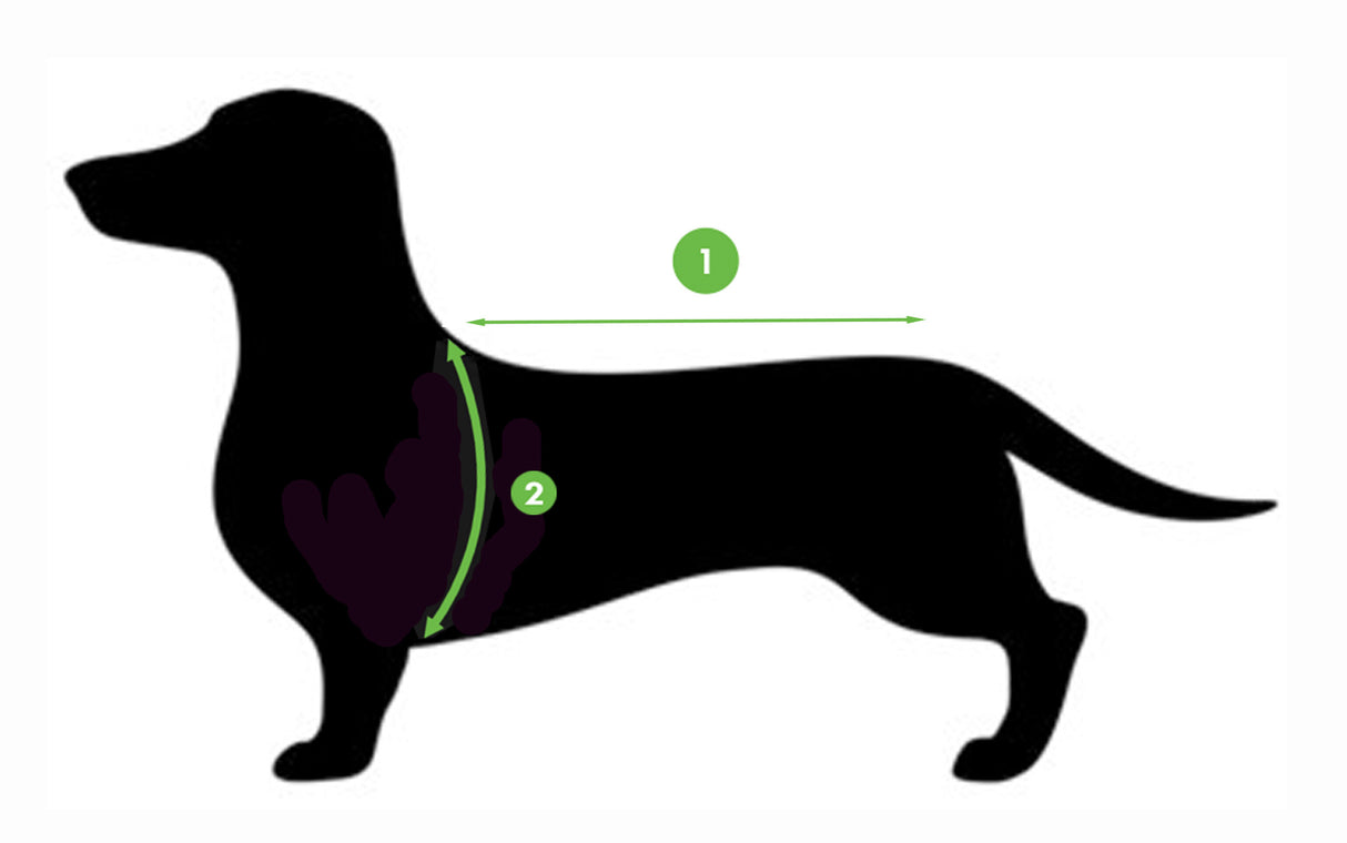 Pawsome Dog Fleece Suits for Dachshunds