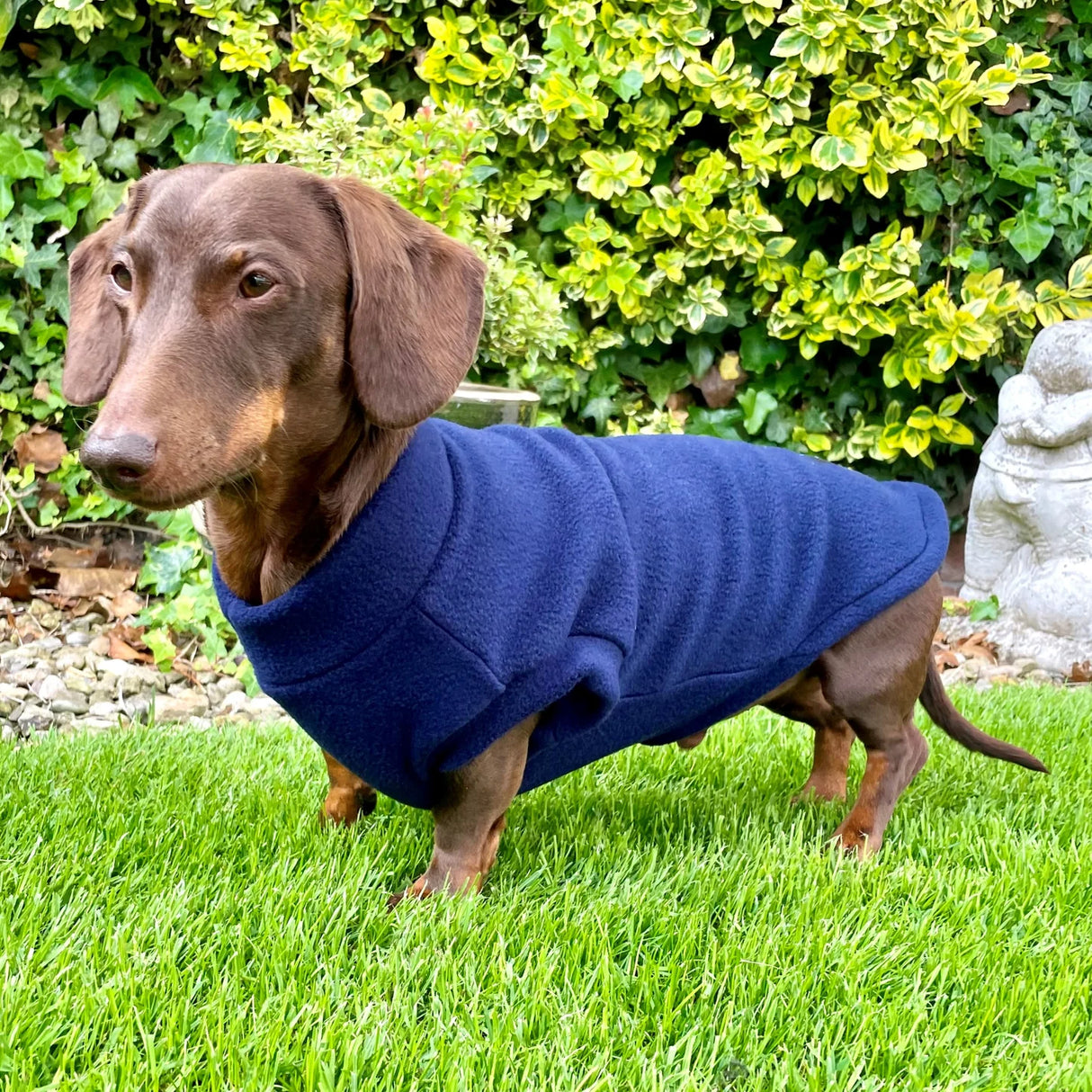 Pawsome Dog Fleece Suits for Dachshunds