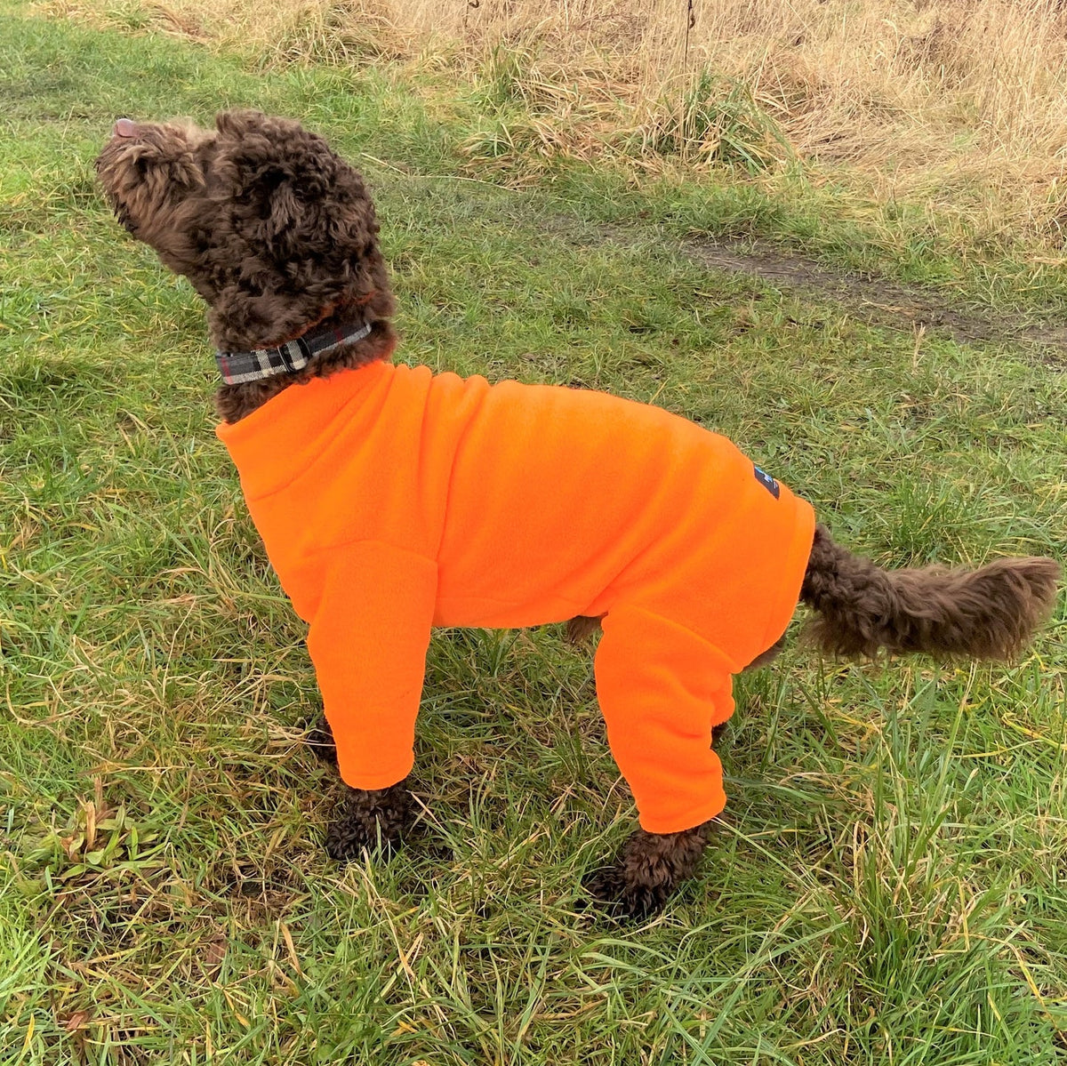 Pawsome Dog Polar Fleece Suit 4 Legs