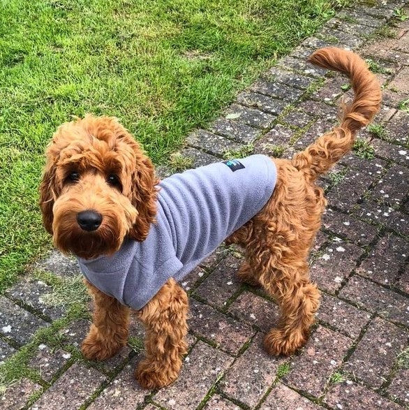 Pawsome Dog Fleece Tankie