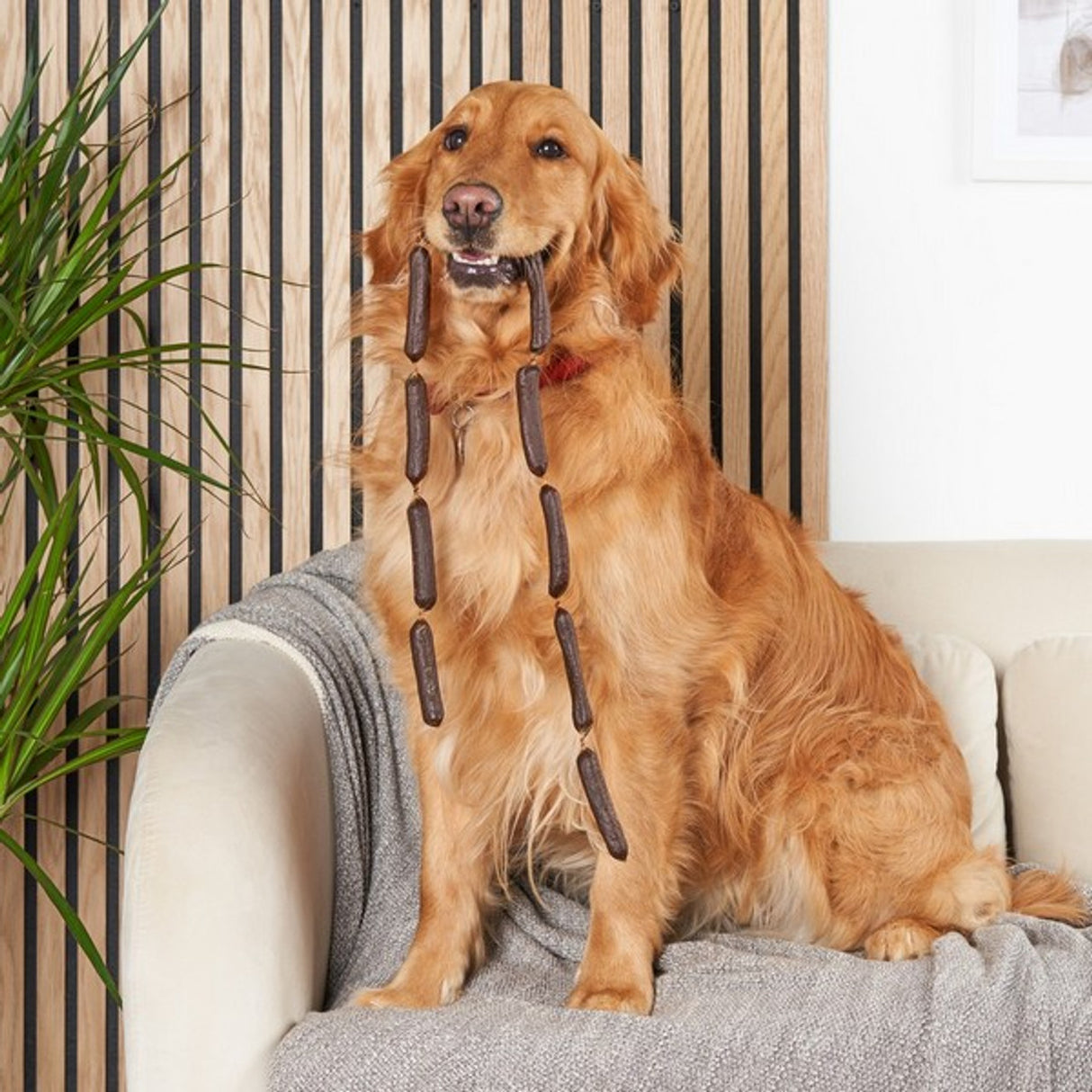 Air Dried Pure Venison Linked Sausages Counter - Price Per 1 Piece