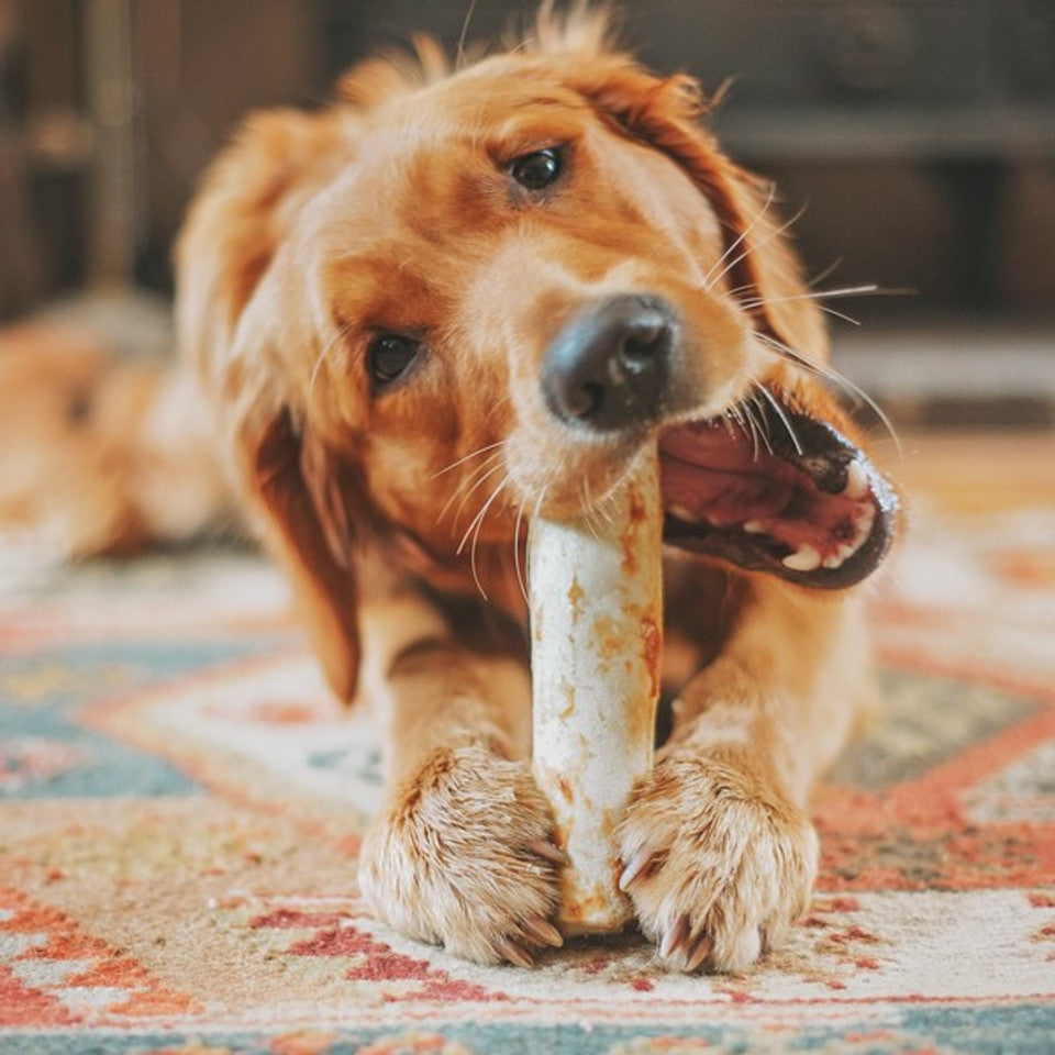 Earth Animal No Hide BBQ Chew