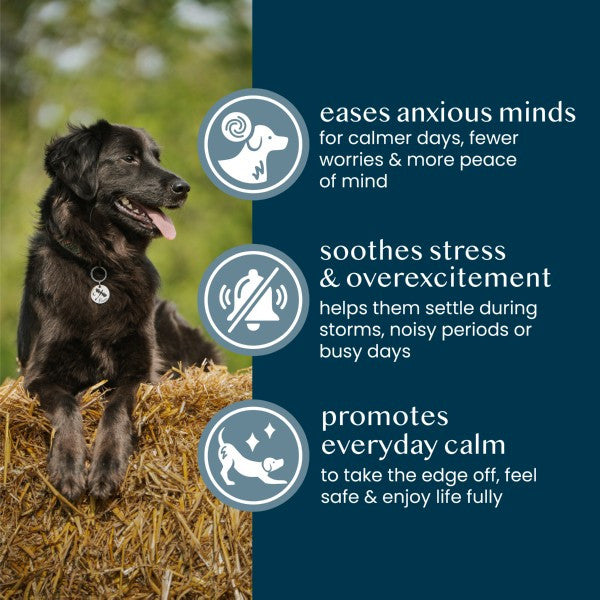Fettle Pure and Gentle Calming Support Powder 125g