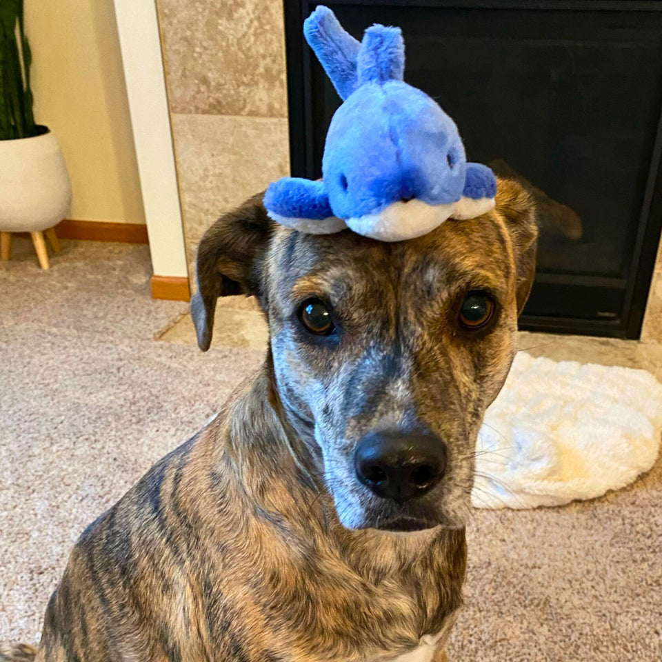 Fluff& Tuff Baby Bruce Shark