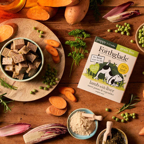 Forthglade Complete Puppy Lamb with Liver & Vegetables Grain Free Wet Dog Food 395g