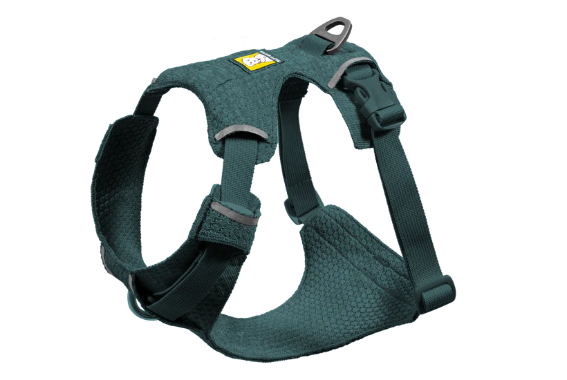 Front Range Flex Harness Deep Teal