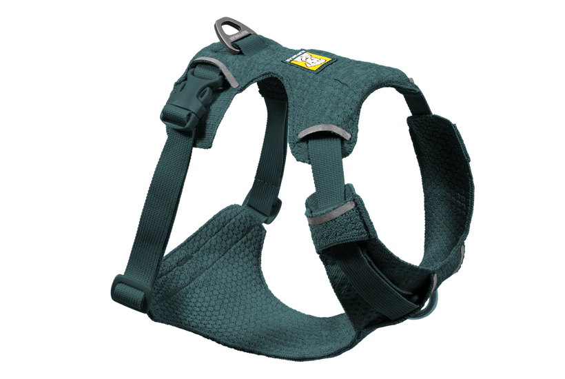 Front Range Flex Harness Deep Teal