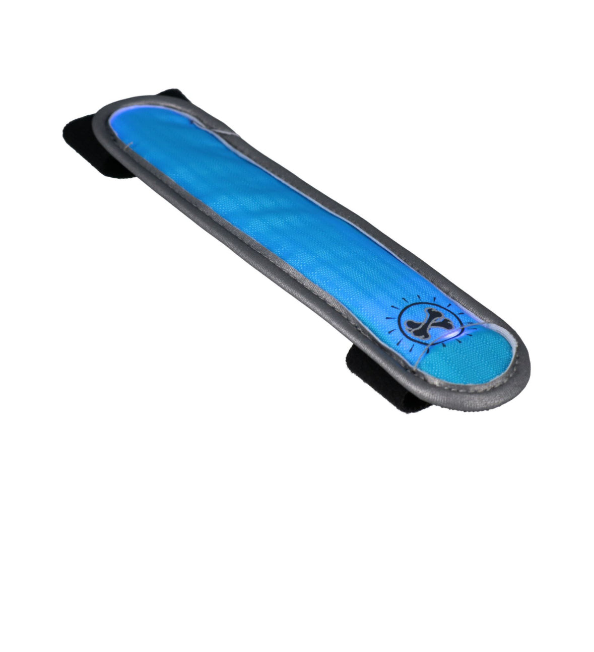 Animal Instincts Flashing Collar Clip Assorted Colors