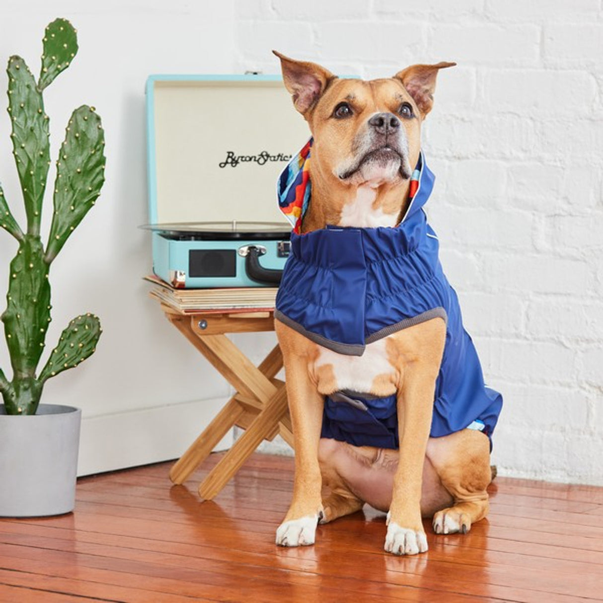 GF Pet Elasto-Fit Reversible Raincoat Navy Retro