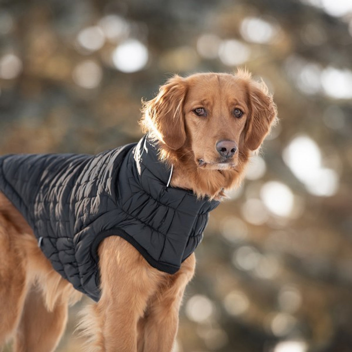 GF Pet Reversible Elasto-Fit Chalet Jacket