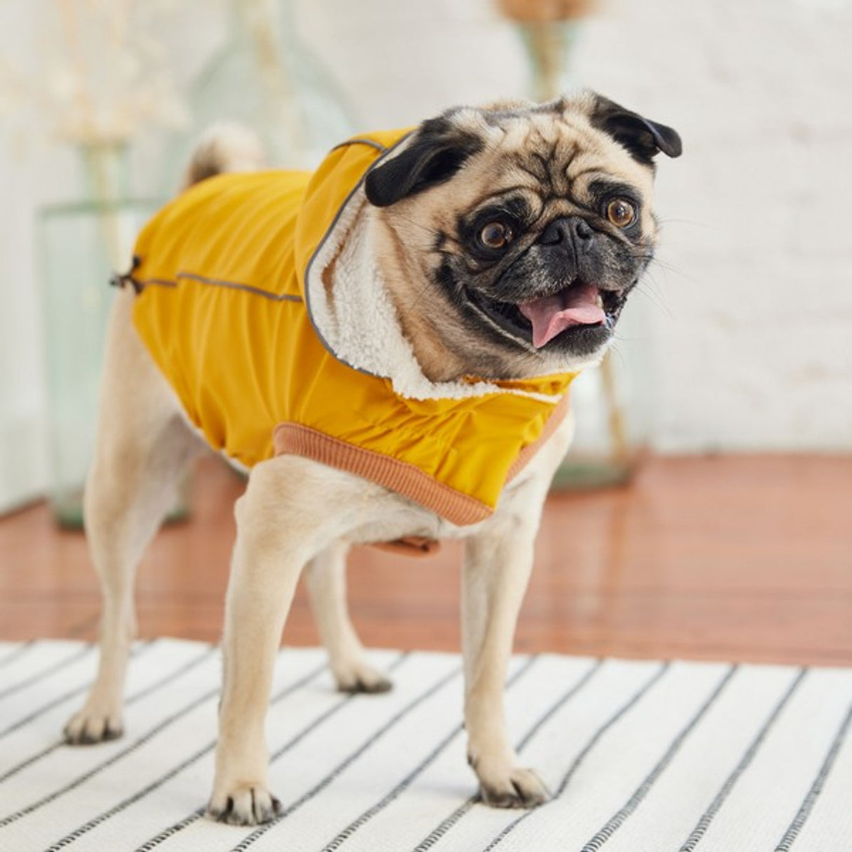 GF Pet Elasto-Fit Insulated Raincoat