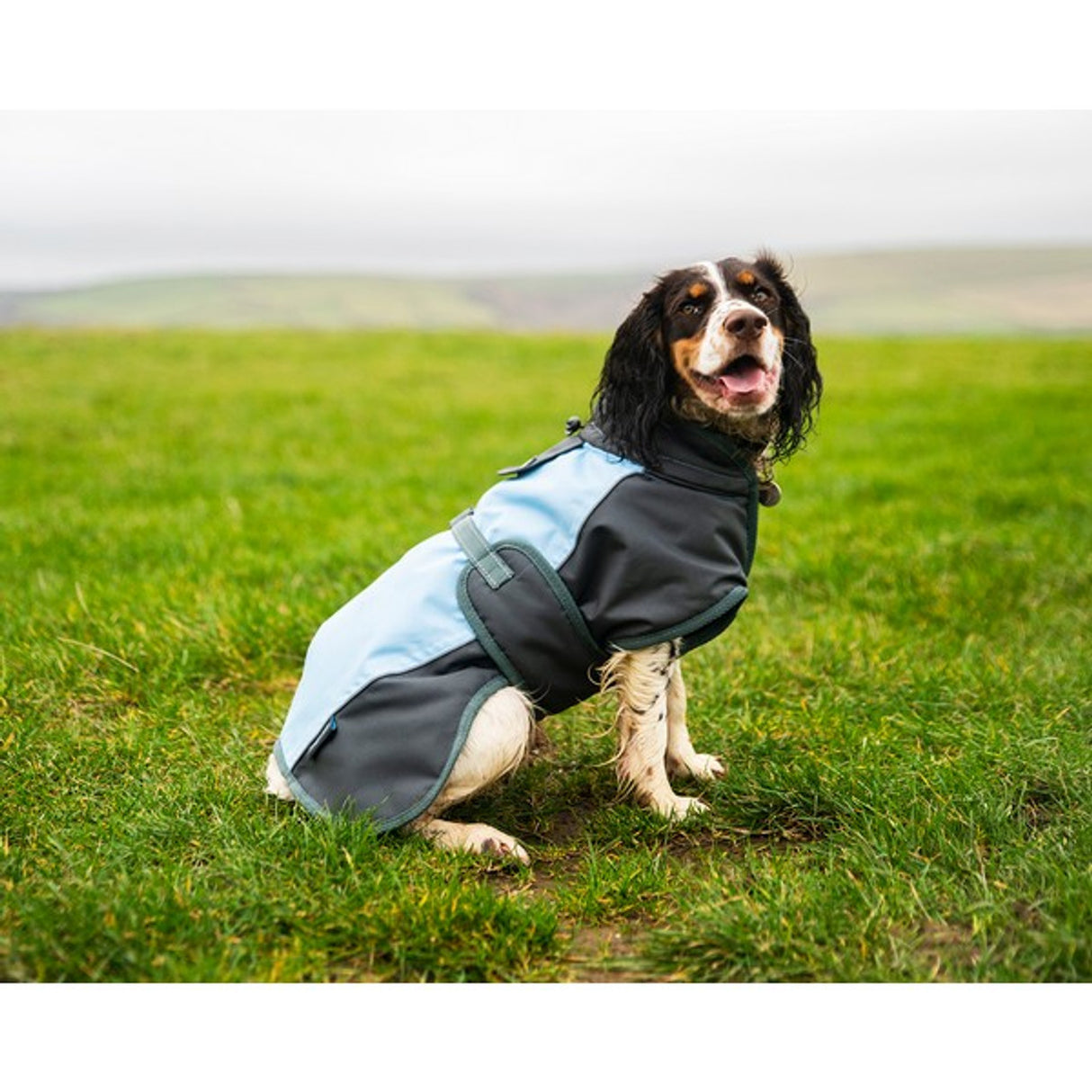 Henry Wag Waterproof Coat
