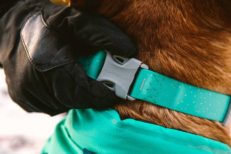 Ruffwear Confluence Collar