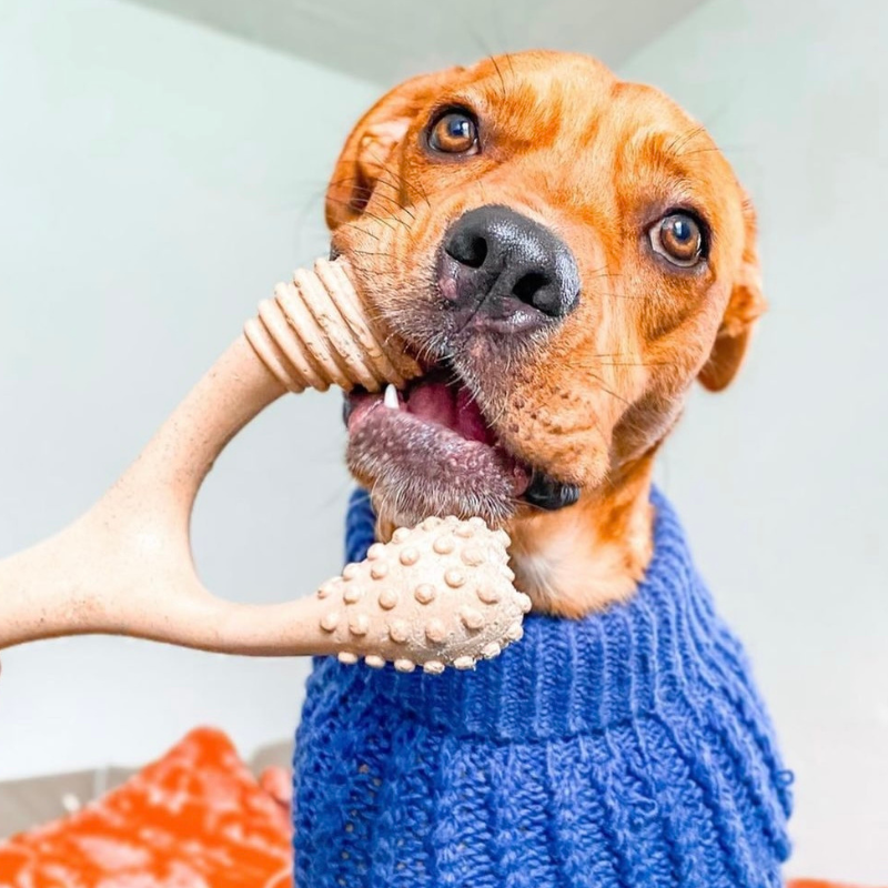 Betterbone Dog Chew Beef Flavour - Hard