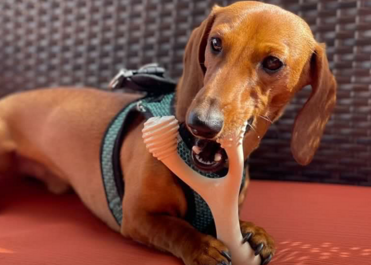 Betterbone Dog Chew Beef - Soft Strength