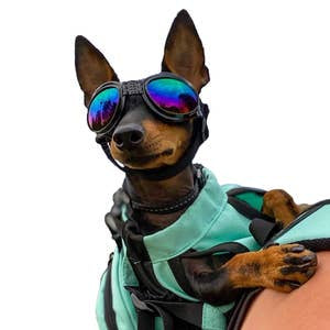 K9 Sport Sack Shades Dog Goggles