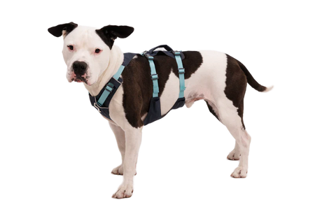 Ruffwear Flagline Harness Basalt Gray