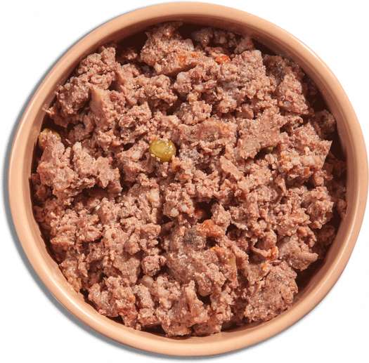 Natures Menu Complete Meal Beef With Tripe & Vegetables Adult Dog Food Pouch 300gr