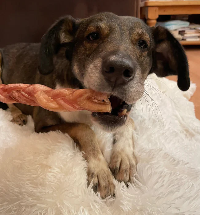 JR Pet Odourless Braided Pizzle