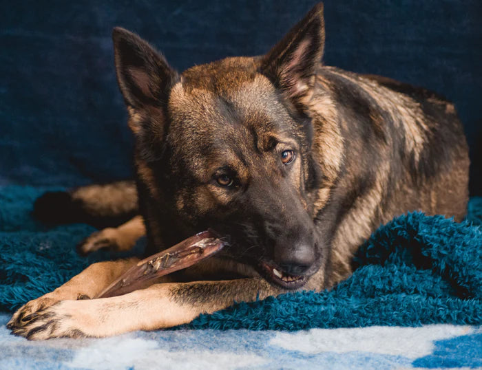 JR Pet Beef Collagen 30cm