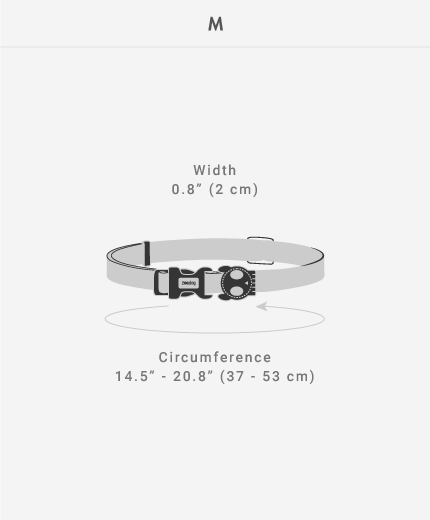 Zeedog Dog Collar Skull