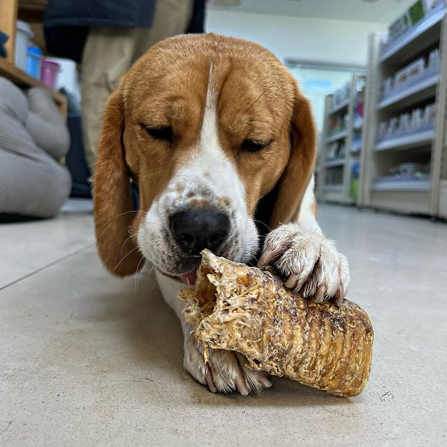 JR Pet Beef Air Pipe (Trachea) 200g