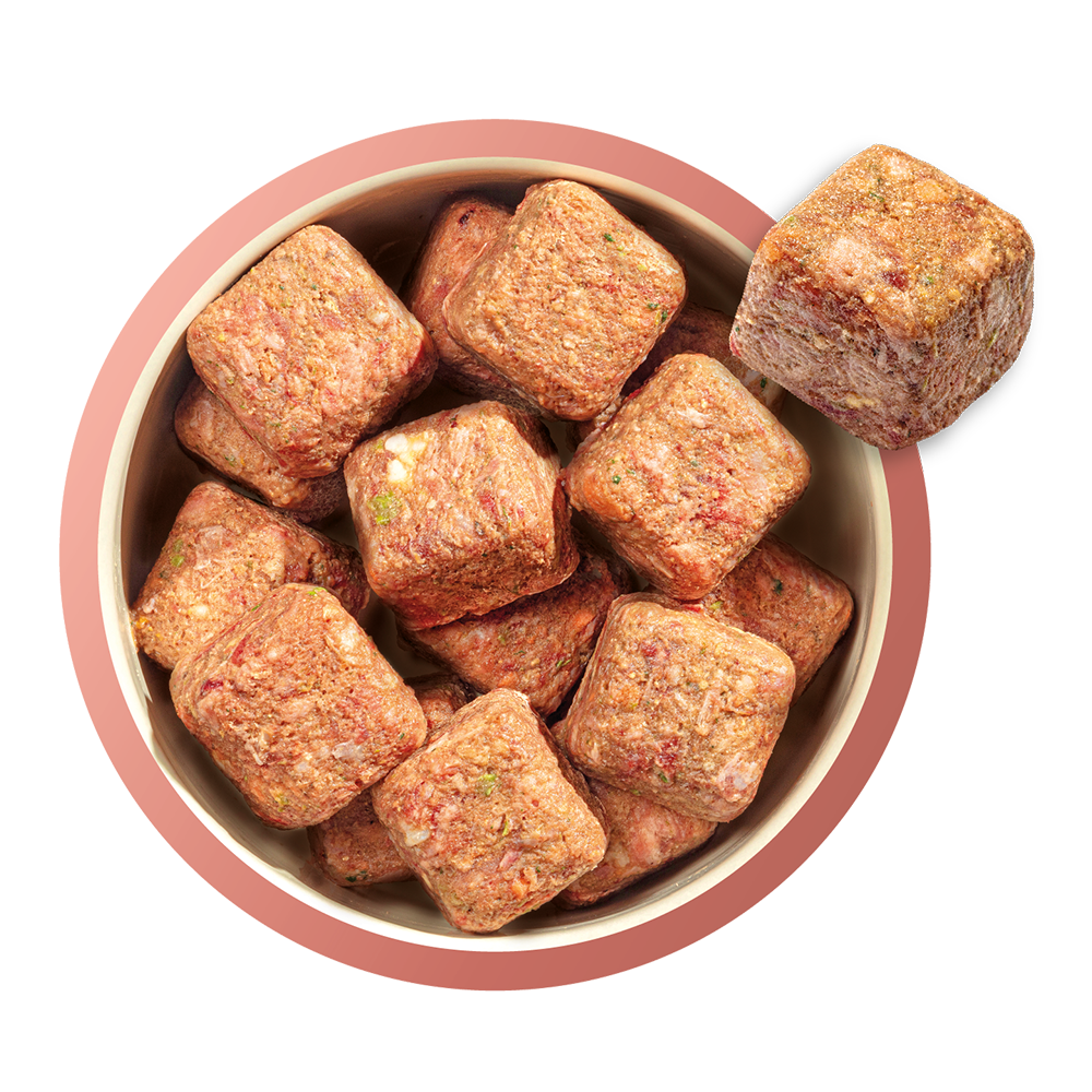 Natures Menu Frozen Country Hunter Beef Puppy 1kg - In Shop or Pickup only