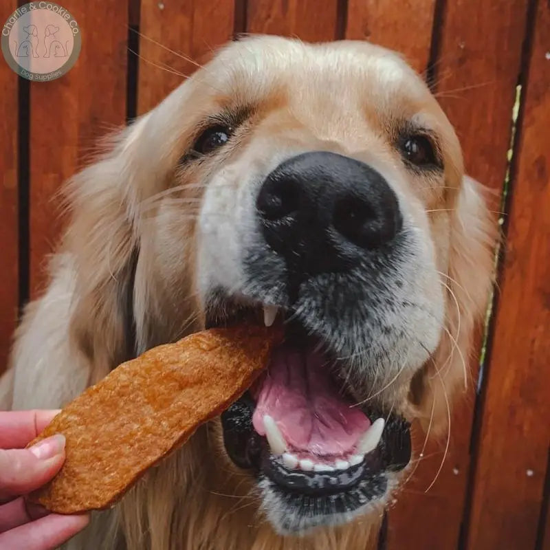 Chicken Fillet Dog Treat - Price Per 1 Piece