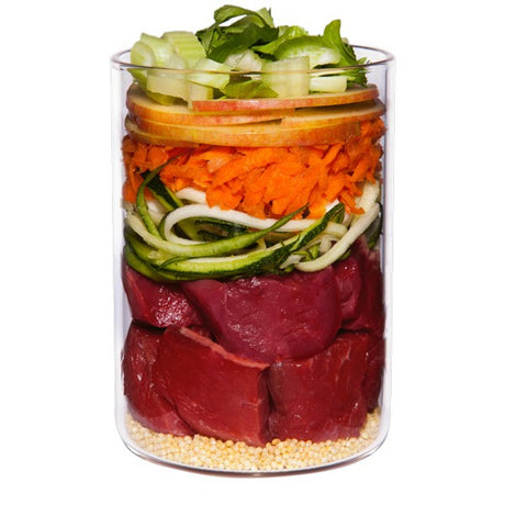 Terra Canis Classic Lamb with Courgette Millet and Dill