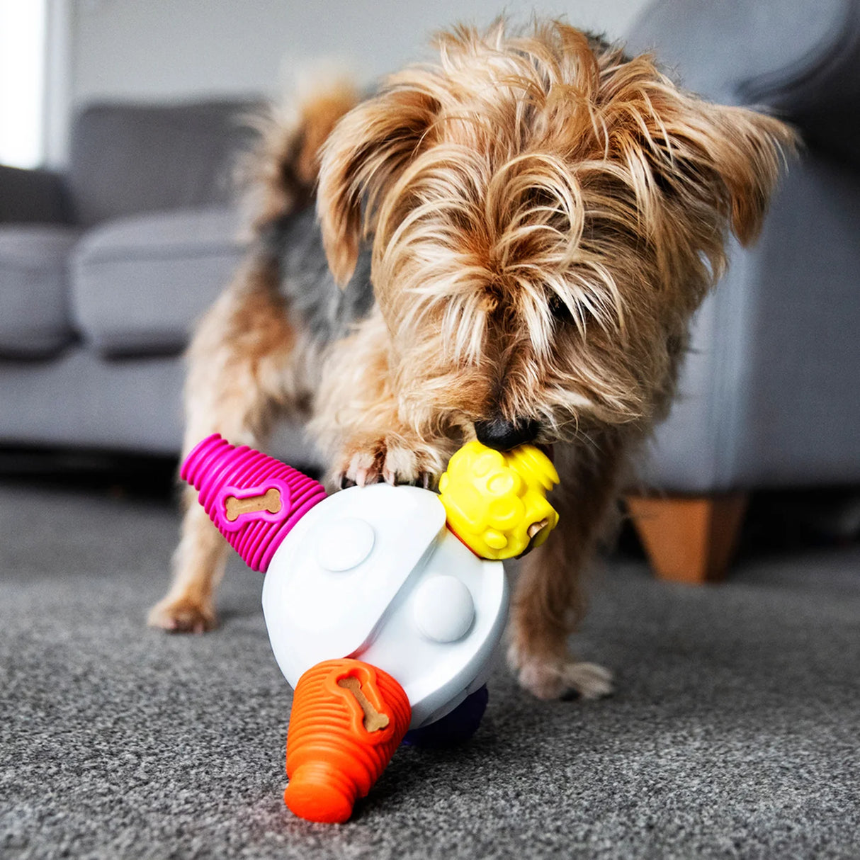 K9 Connectables Kibble Connector