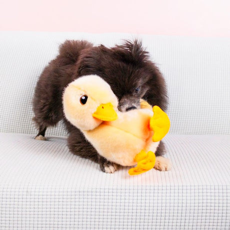 KONG Toughz Duck Medium