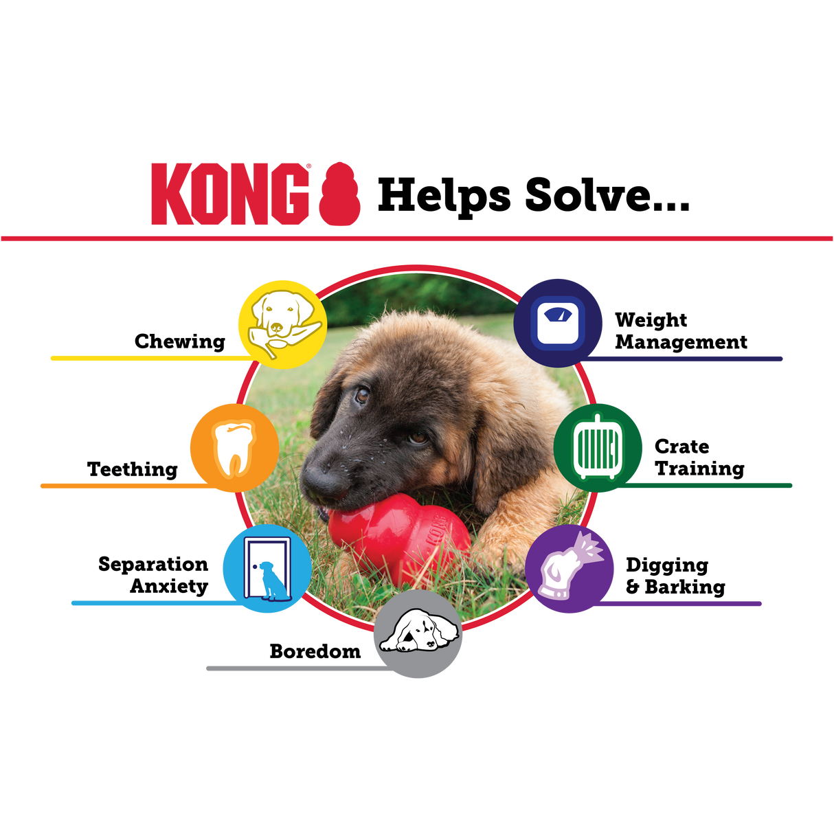 KONG Puppy Assorted Colours