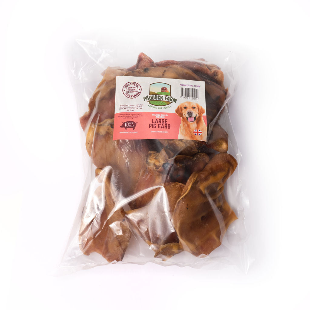 Nova Chews Large Pig Ears (10 pack)