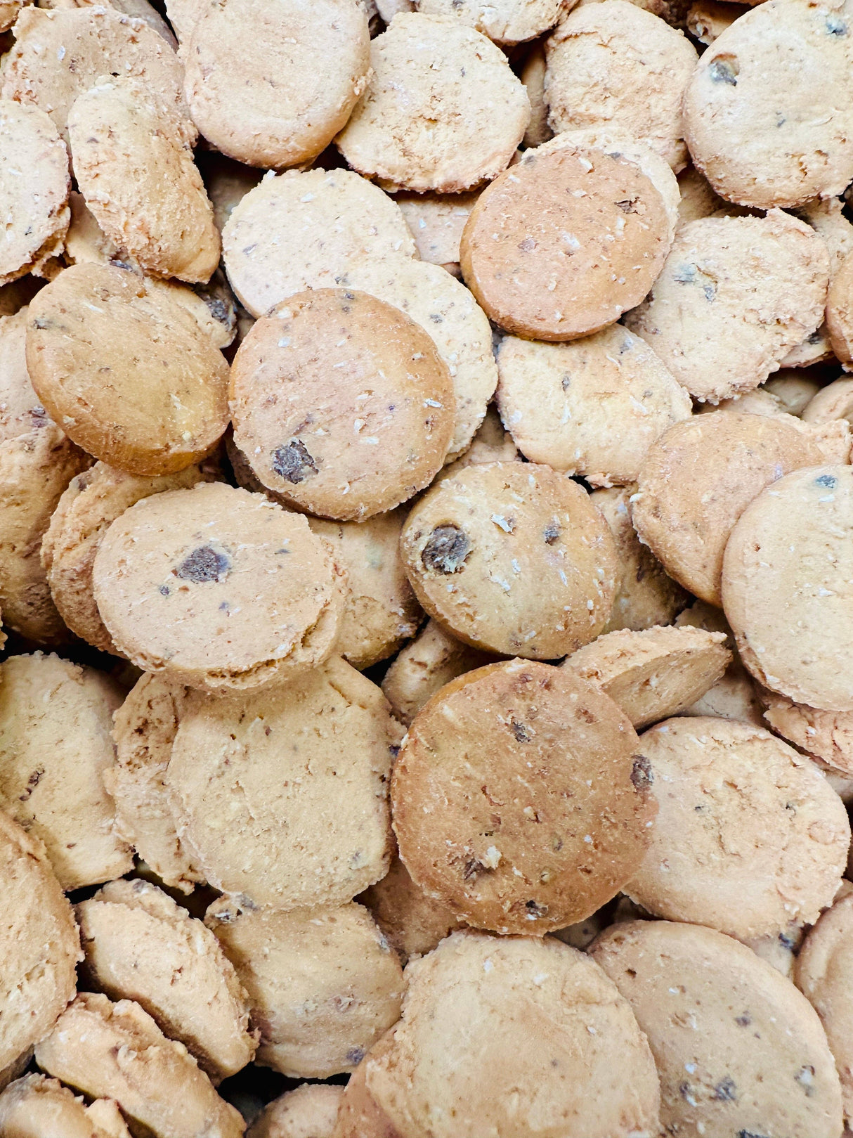 Close-up of a pile of round, beige dog cookies with dark specks