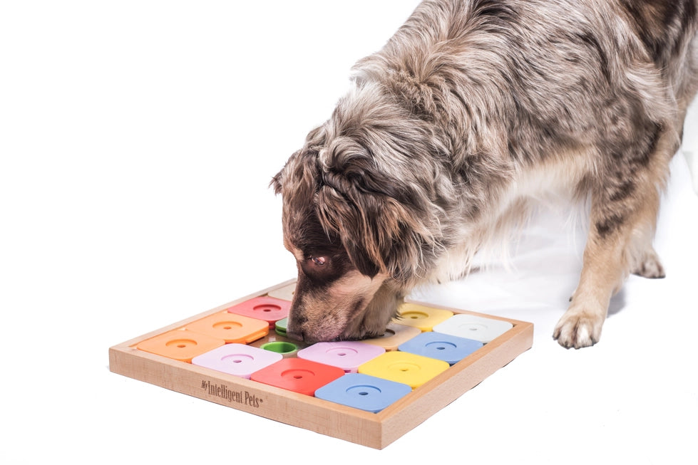 My Intelligent Pets Dog' Sudoku Medium Genie Color - Interactive Puzzle For Dogs