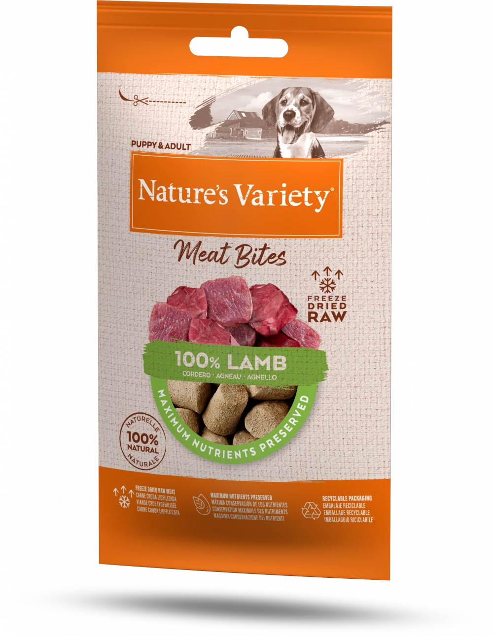 Natures Variety Freeze Dried Meat Bites Lamb 20g