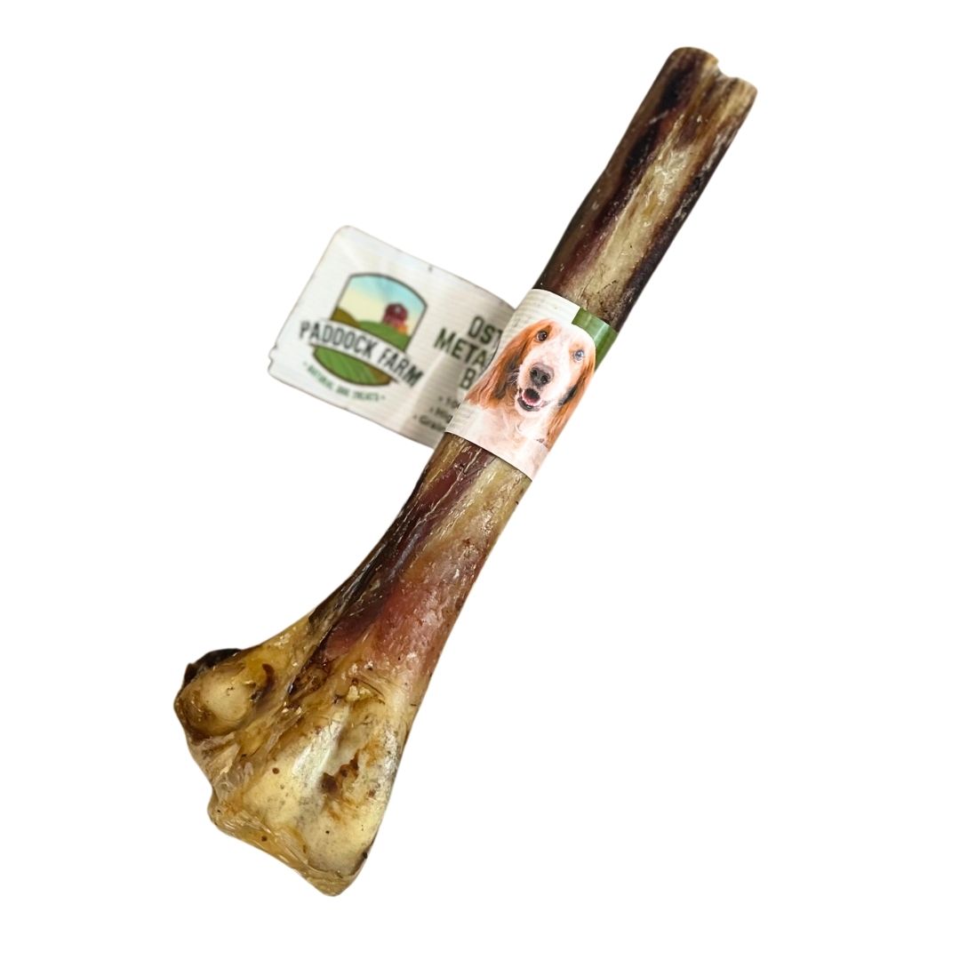 Ostrich Metatarsus Bone - Price Per 1 Piece