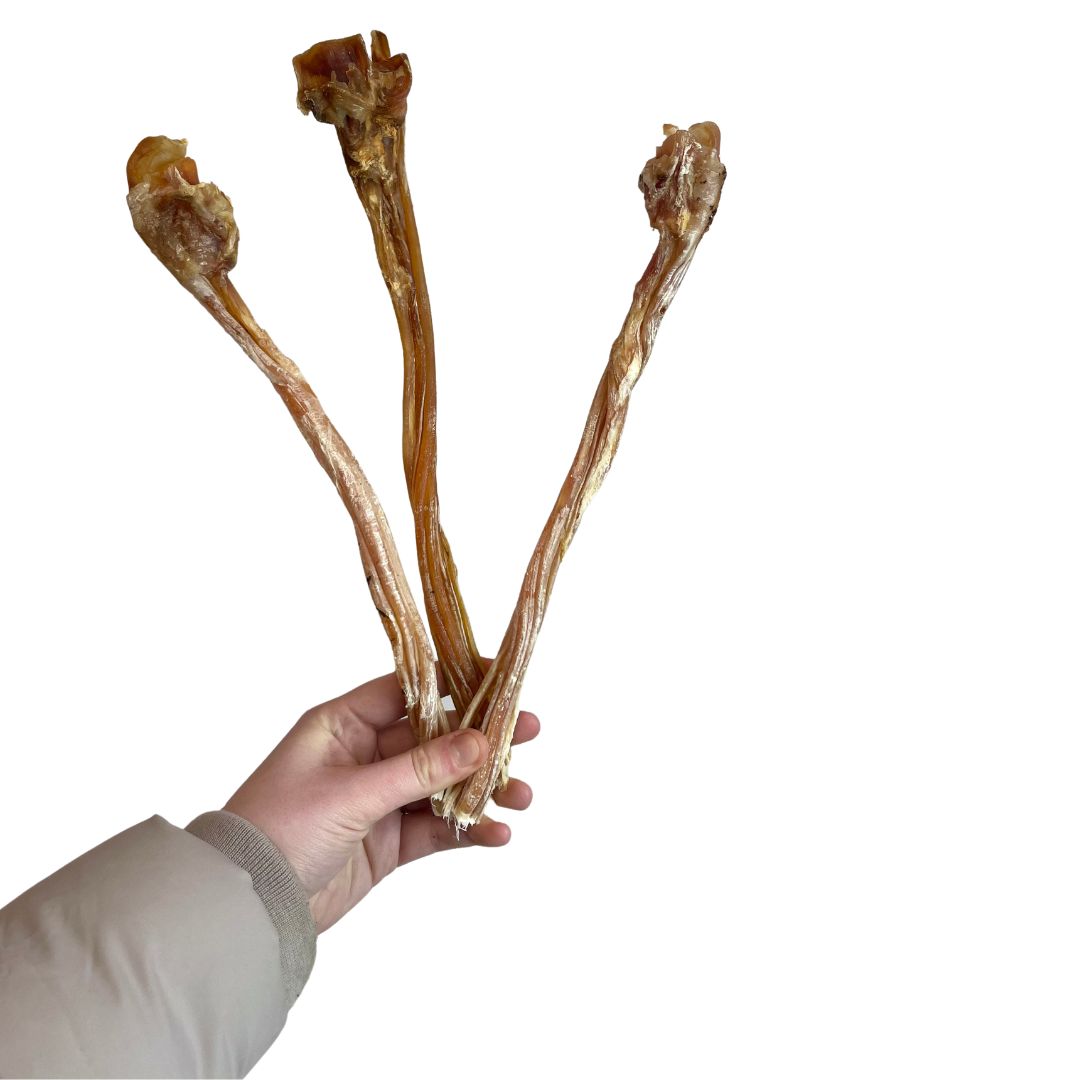Ostrich Tendons - Price Per Piece