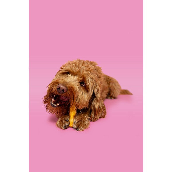 Pawtential Collagen Chew Peanut Flavour Medium 70g