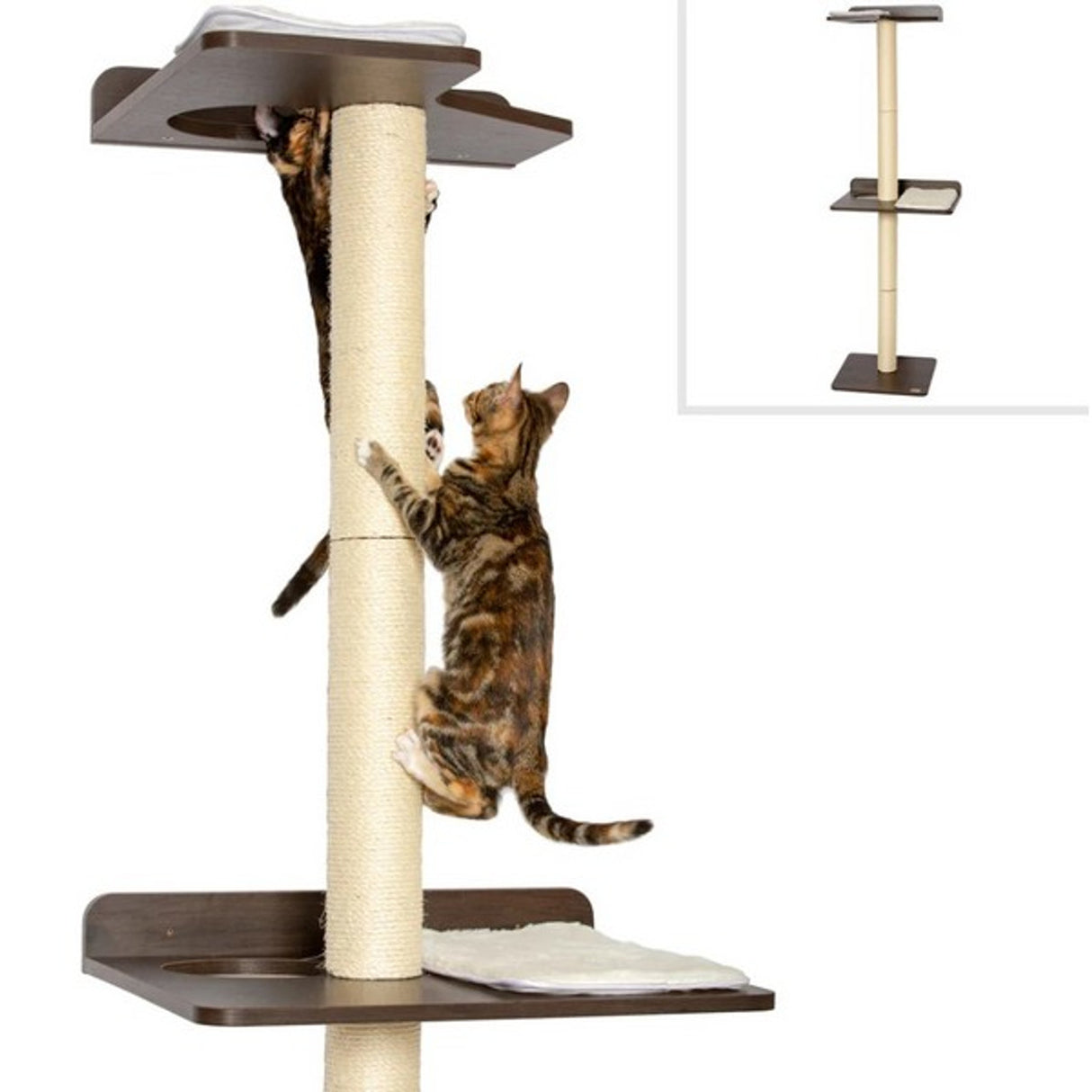 PetFusion Ultimate Cat Climber 1pc