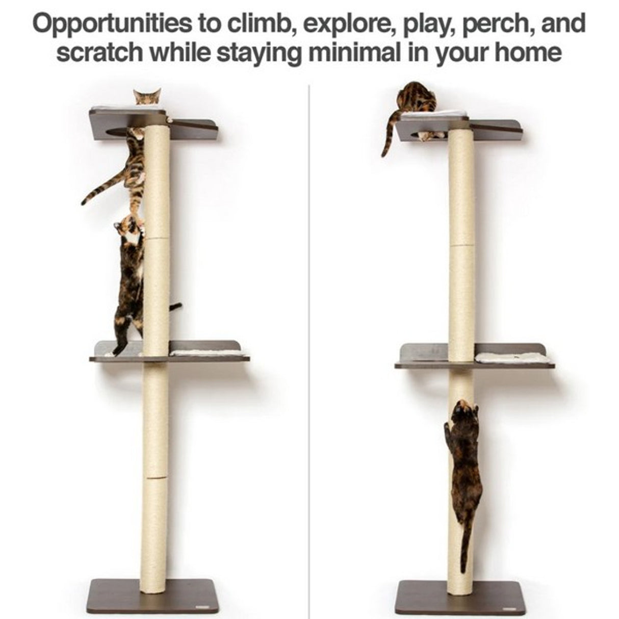 PetFusion Ultimate Cat Climber 1pc