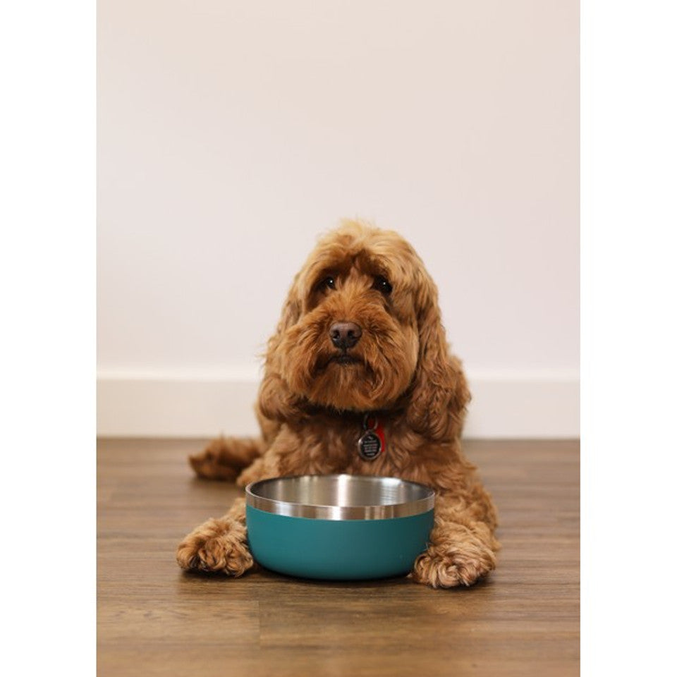 Rosewood Double Wall Stainless Steel Bowl