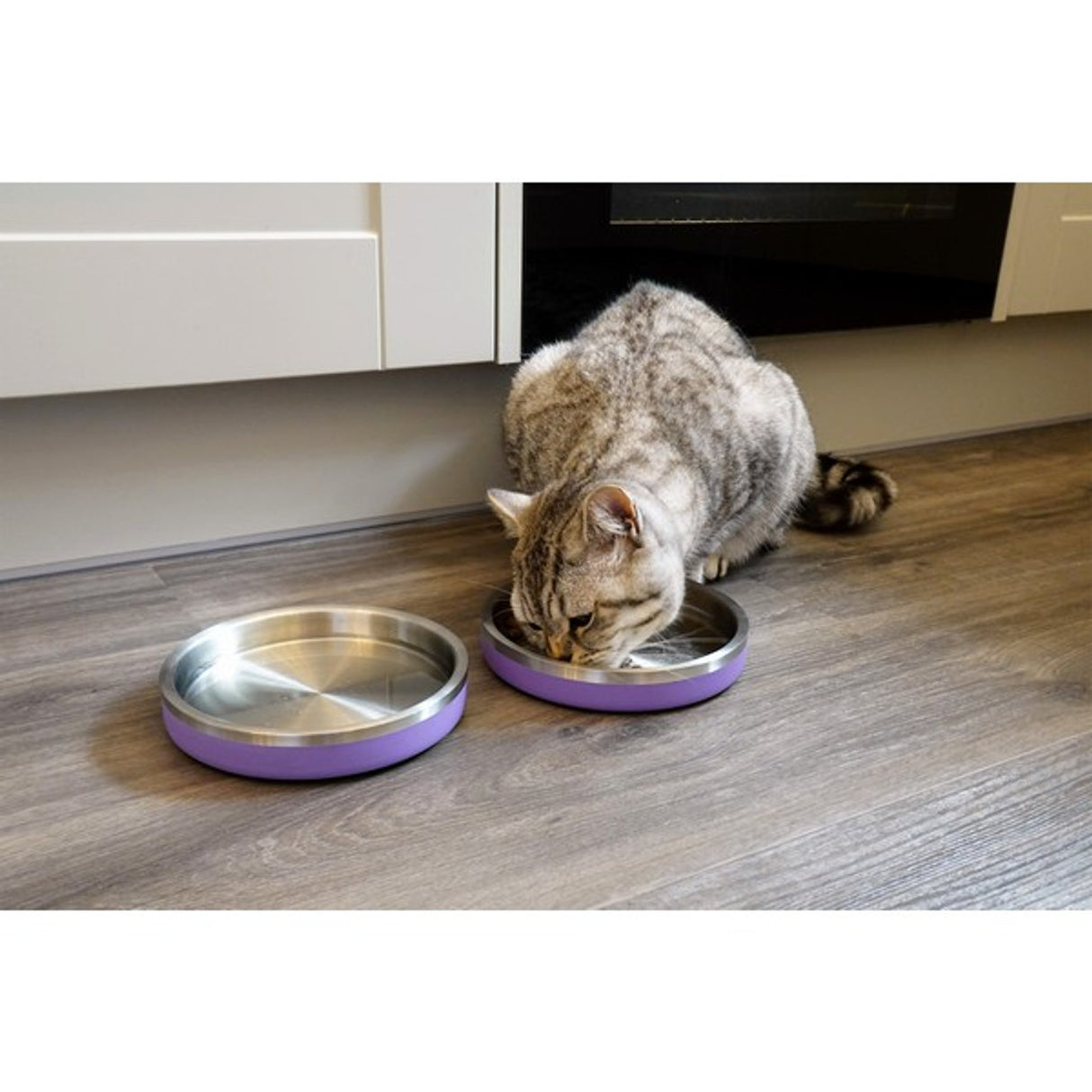 Rosewood Double Wall Stainless Steel Cat Bowl 480ml