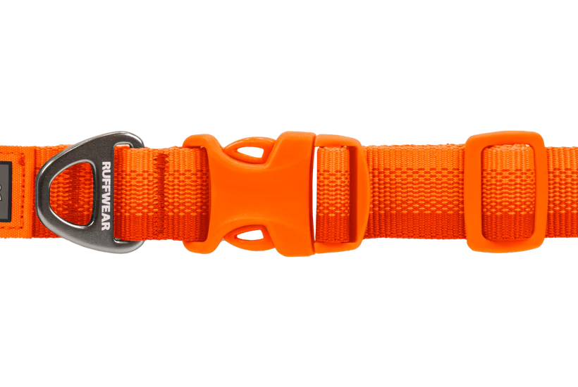 Front Range Collar Blaze Orange