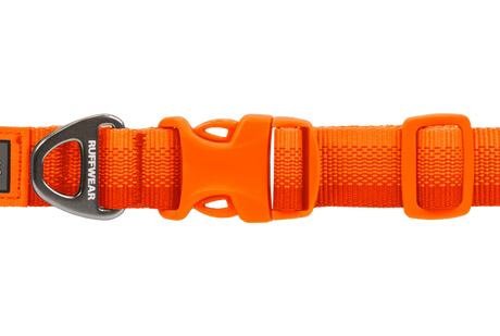 Front Range Collar Blaze Orange