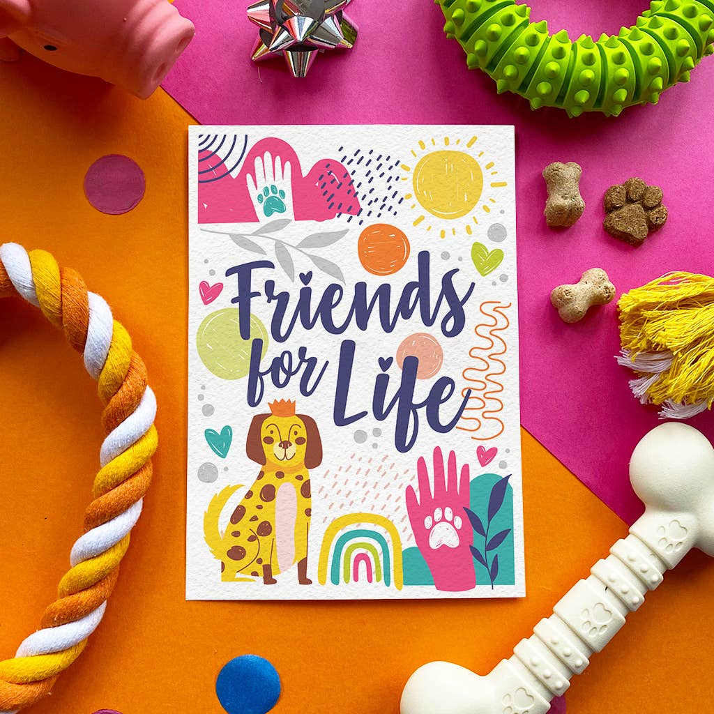 Colorful card with 'Friends for Life' text surrounded by pet toys on a pink and orange background