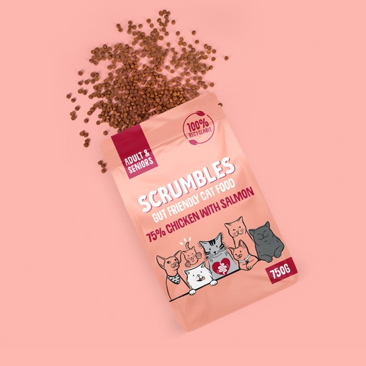 Scrumbles Dry Cat Food Adult Salmon 750g